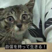 ヒメ日記 2025/03/20 12:49 投稿 山口　つかさ イラマチーオ新宿店