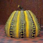 ヒメ日記 2025/06/18 14:29 投稿 山口　つかさ イラマチーオ新宿店