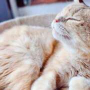 ヒメ日記 2025/06/20 13:39 投稿 山口　つかさ イラマチーオ新宿店