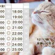 ヒメ日記 2025/07/24 22:09 投稿 山口　つかさ イラマチーオ新宿店