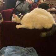 ヒメ日記 2026/01/09 14:29 投稿 山口　つかさ イラマチーオ新宿店