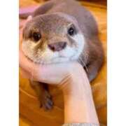 ヒメ日記 2025/06/13 16:39 投稿 山口　つかさ SM東京　新宿店