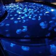 ヒメ日記 2025/07/14 12:49 投稿 山口　つかさ SM東京　新宿店