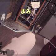 ヒメ日記 2026/01/30 04:15 投稿 マミ秘書 秘書の品格 クラブアッシュ ヴァリエ