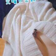 ヒメ日記 2025/01/14 19:46 投稿 ゆらり 千葉人妻セレブリティ（ユメオト）