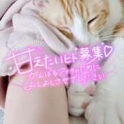 ヒメ日記 2025/05/11 11:56 投稿 ゆらり 千葉人妻セレブリティ（ユメオト）