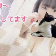 ヒメ日記 2025/05/25 21:38 投稿 ゆらり 千葉人妻セレブリティ（ユメオト）