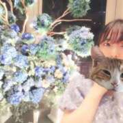 ヒメ日記 2025/06/12 12:00 投稿 ゆらり 千葉人妻セレブリティ（ユメオト）