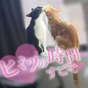 ヒメ日記 2025/06/17 14:41 投稿 ゆらり 千葉人妻セレブリティ（ユメオト）