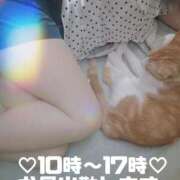 ヒメ日記 2025/07/27 17:47 投稿 ゆらり 千葉人妻セレブリティ（ユメオト）