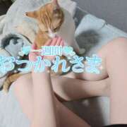 ヒメ日記 2025/09/05 14:49 投稿 ゆらり 千葉人妻セレブリティ（ユメオト）