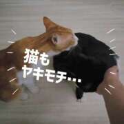 ヒメ日記 2025/09/14 22:30 投稿 ゆらり 千葉人妻セレブリティ（ユメオト）