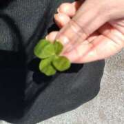 ヒメ日記 2025/04/29 10:45 投稿 すみれ 栃木宇都宮ちゃんこ