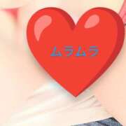 ヒメ日記 2025/08/28 10:25 投稿 すみれ 栃木宇都宮ちゃんこ