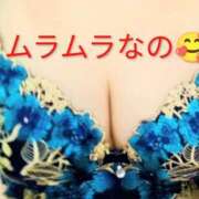 ヒメ日記 2025/11/10 10:15 投稿 すみれ 栃木宇都宮ちゃんこ