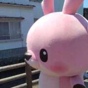 ヒメ日記 2026/05/05 23:05 投稿 すみれ 栃木宇都宮ちゃんこ