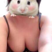 ヒメ日記 2025/04/09 23:20 投稿 ののか 池袋マリン別館