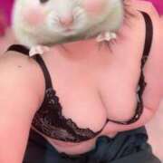 ヒメ日記 2025/09/11 00:05 投稿 ののか 池袋マリン別館