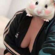 ヒメ日記 2025/10/06 23:55 投稿 ののか 池袋マリン別館