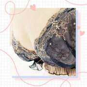 ヒメ日記 2025/11/28 09:37 投稿 小芝奈津美 こあくまな熟女たち岩国店(KOAKUMAグループ)