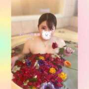 ヒメ日記 2025/01/04 19:49 投稿 ちなつ ぽっちゃりデリヘル倶楽部