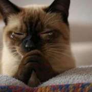 ヒメ日記 2025/04/17 08:29 投稿 ちなつ ぽっちゃりデリヘル倶楽部