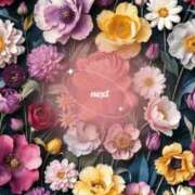 ヒメ日記 2026/02/11 19:09 投稿 ちなつ ぽっちゃりデリヘル倶楽部