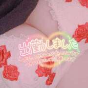 ヒメ日記 2025/05/14 12:37 投稿 ゆか 夢の国デリランド