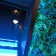 ヒメ日記 2025/01/11 12:18 投稿 まお ごほうびSPA京都店