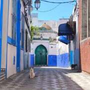 ヒメ日記 2025/03/31 00:48 投稿 まお ごほうびSPA京都店