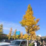 ヒメ日記 2025/11/26 00:58 投稿 まお ごほうびSPA京都店