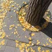 ヒメ日記 2025/11/26 12:38 投稿 まお ごほうびSPA京都店