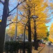 ヒメ日記 2025/11/30 21:19 投稿 まお ごほうびSPA京都店