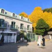 ヒメ日記 2025/11/30 22:18 投稿 まお ごほうびSPA京都店