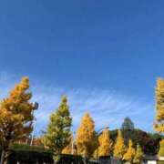 ヒメ日記 2025/12/06 12:24 投稿 まお ごほうびSPA京都店