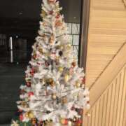 ヒメ日記 2025/12/09 07:18 投稿 まお ごほうびSPA京都店