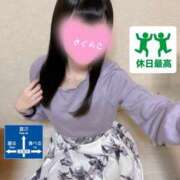 ヒメ日記 2025/02/16 19:38 投稿 さくらこ 横浜プラチナ（ユメオト）