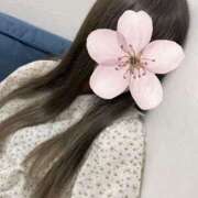 ヒメ日記 2025/04/18 19:16 投稿 さくらこ 横浜プラチナ（ユメオト）