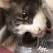 ヒメ日記 2025/06/02 21:02 投稿 あや パリス雄琴店