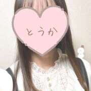 ヒメ日記 2024/12/13 20:17 投稿 とうか かりんと池袋