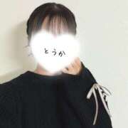 ヒメ日記 2025/02/02 17:34 投稿 とうか かりんと池袋