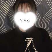 ヒメ日記 2025/02/02 19:07 投稿 とうか かりんと池袋