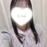 ヒメ日記 2025/04/05 16:41 投稿 とうか かりんと池袋