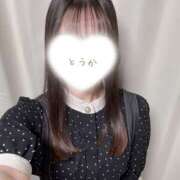 ヒメ日記 2025/05/03 18:17 投稿 とうか かりんと池袋