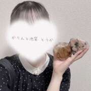 ヒメ日記 2025/05/03 20:11 投稿 とうか かりんと池袋