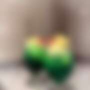 ヒメ日記 2025/07/16 22:22 投稿 とうか かりんと池袋