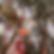 ヒメ日記 2025/11/23 17:15 投稿 とうか かりんと池袋