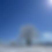 ヒメ日記 2026/01/12 10:05 投稿 とうか かりんと池袋