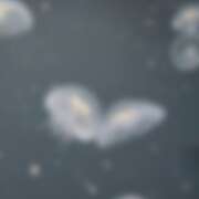 ヒメ日記 2026/02/27 21:10 投稿 とうか かりんと池袋