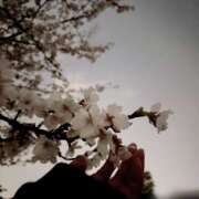 ヒメ日記 2026/03/31 17:24 投稿 とうか かりんと池袋